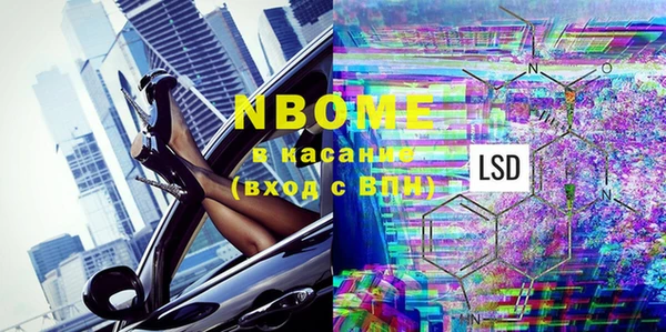 мет Алексин