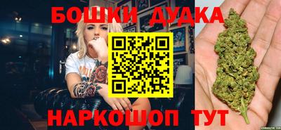 крисы Кулебаки