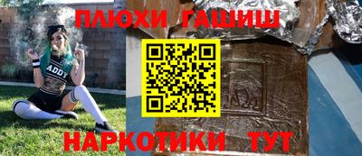 крисы Кулебаки