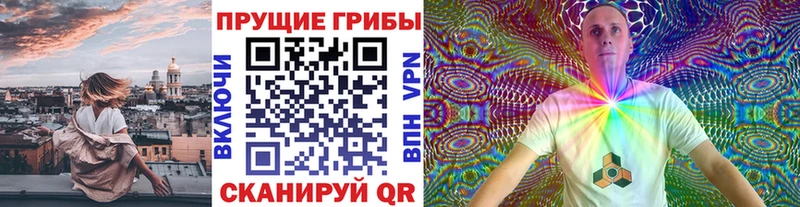 Псилоцибиновые грибы Psilocybe  продажа наркотиков  Зеленодольск 