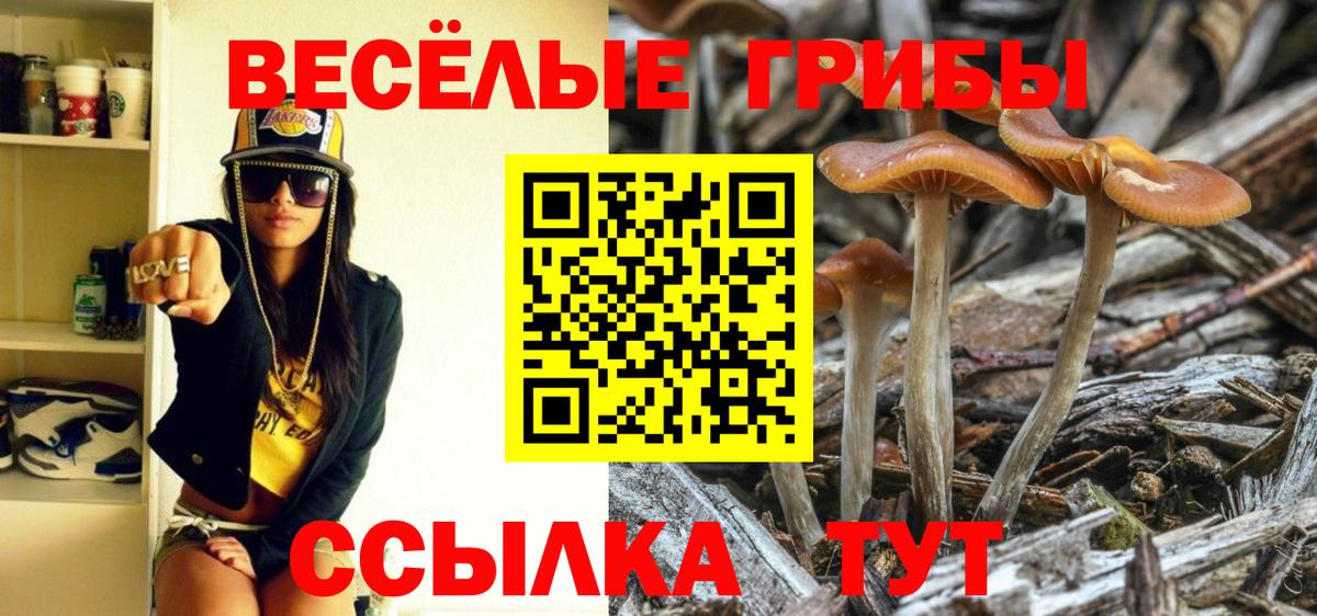 где можно купить   Псилоцибиновые грибы Psilocybine cubensis  Вход с VPN  Зеленодольск  Галлюциногенные грибы мицелий 