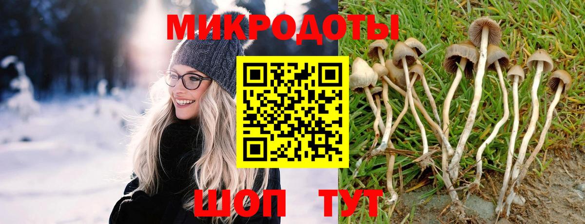 Галлюциногенные грибы мухоморы Зеленодольск